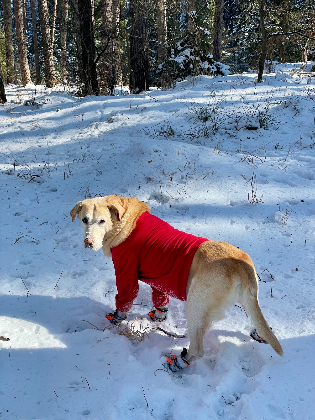 Sara 40 days after diagnosis