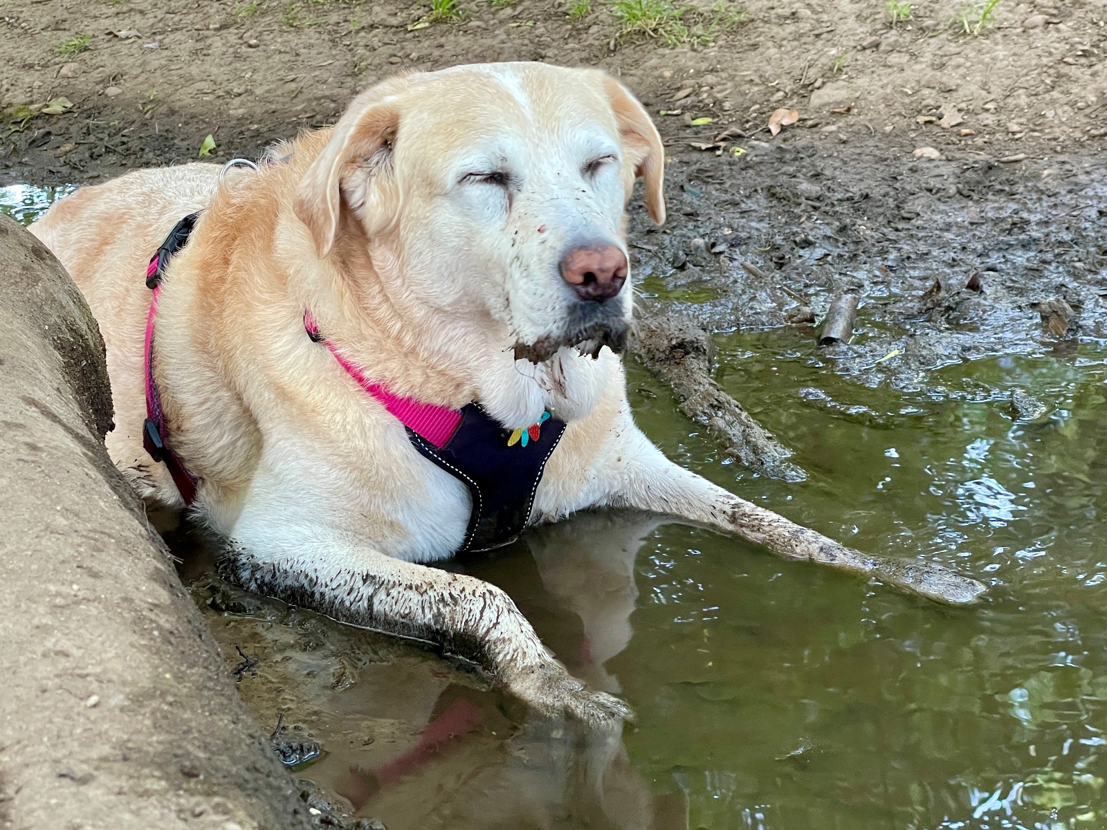 Sara enjoying a spa day